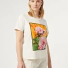 Marina Rinaldi Top & T-Shirt | Top & T-Shirt*T-shirt in jersey con stampa BIANCO